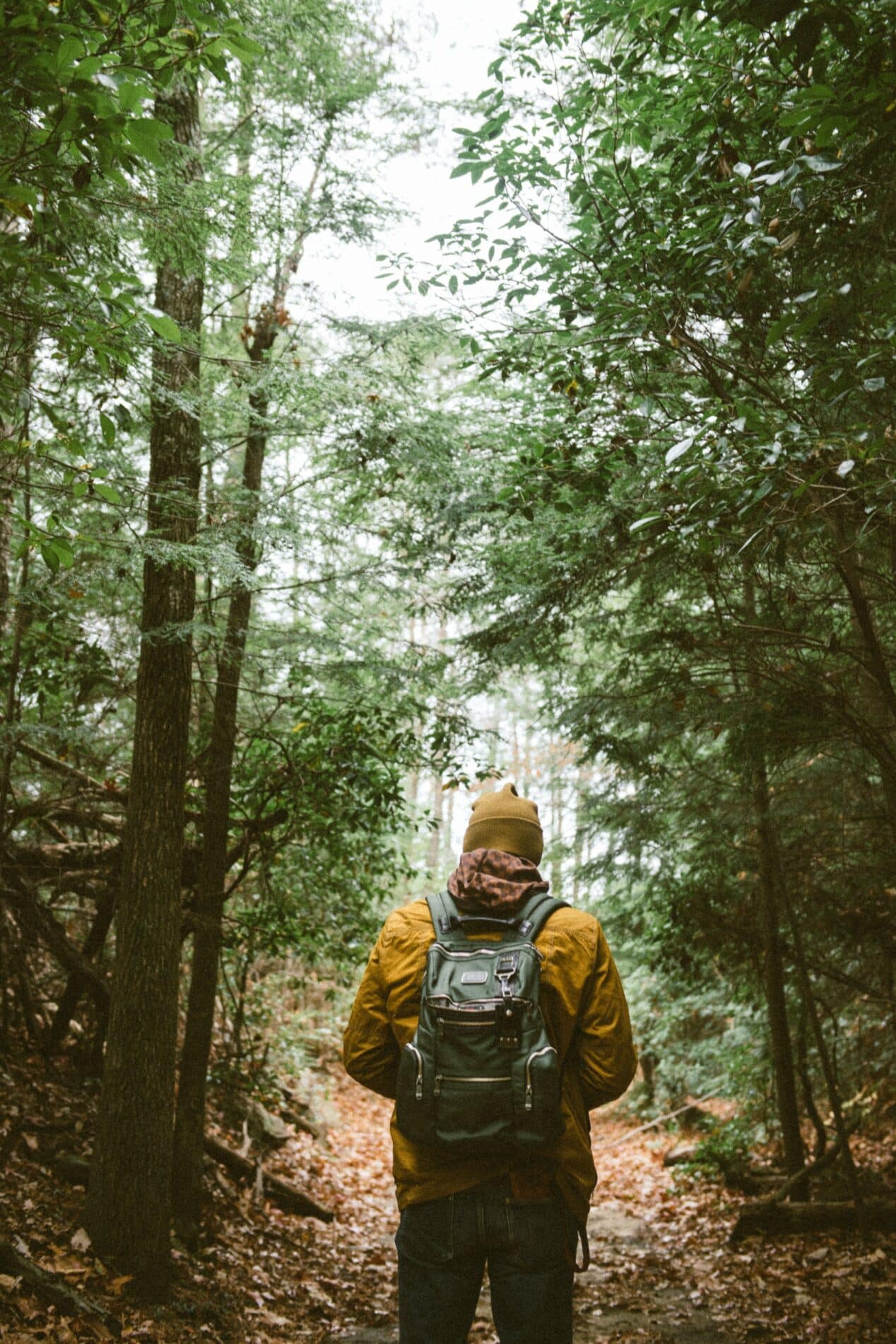 Homme avec sac dos de dos qui marche dans la forêt